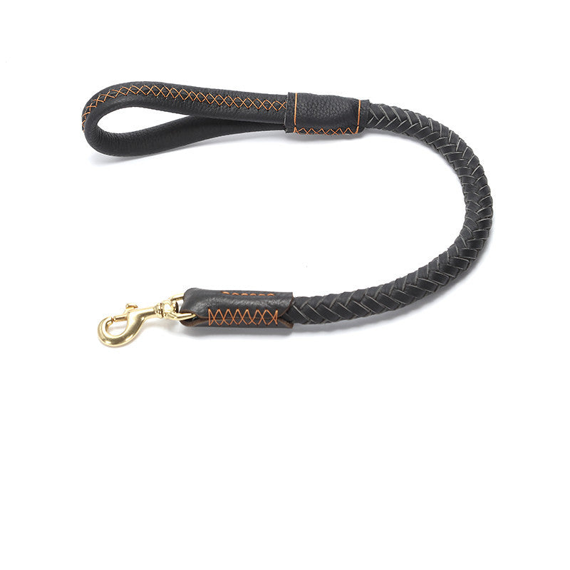 Correa y Collar de Cuero Genuino para Perros — Opciones Corta, Mediana, Larga, XL o Set Completo (Animal State)