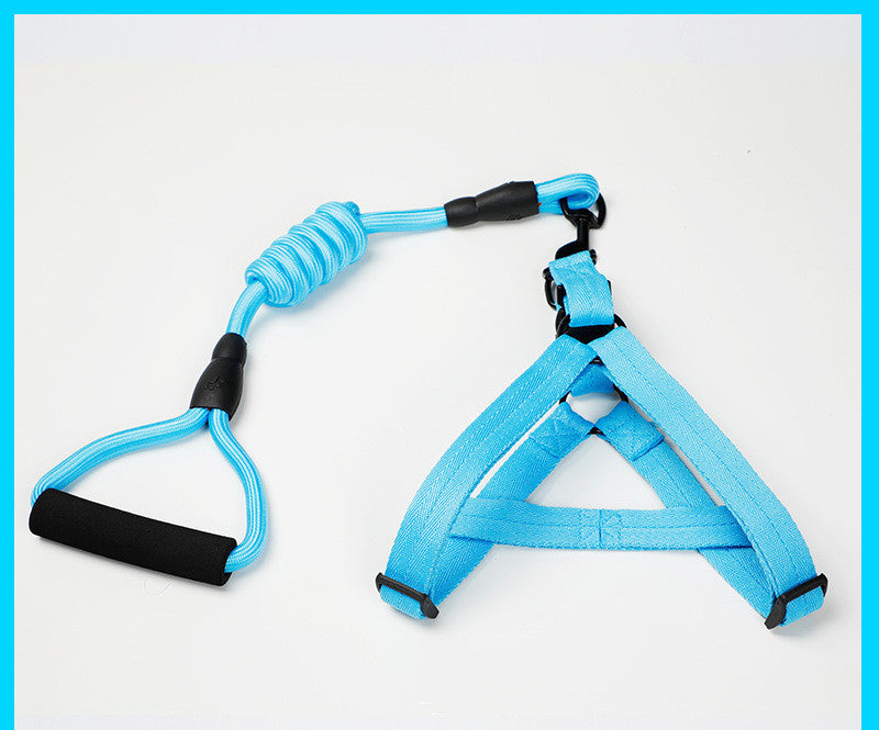 Kit de Arnés Ajustable y Correa Elástica Antichoque (Bungee) para Perros