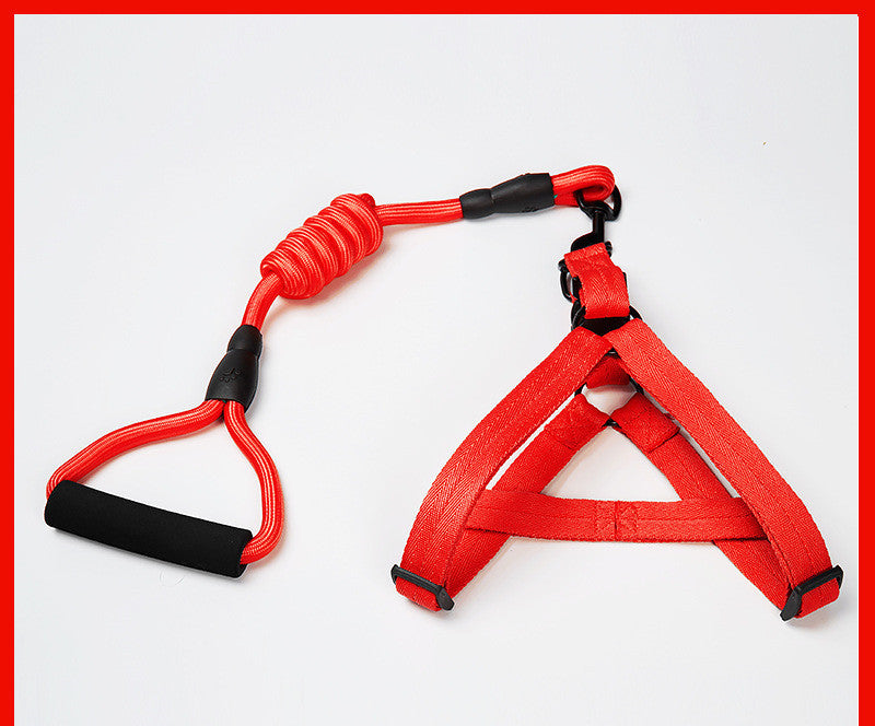 Kit de Arnés Ajustable y Correa Elástica Antichoque (Bungee) para Perros