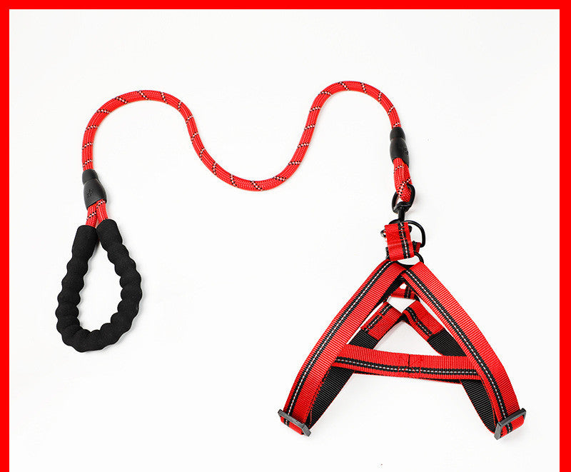Kit de Arnés Ajustable y Correa Elástica Antichoque (Bungee) para Perros
