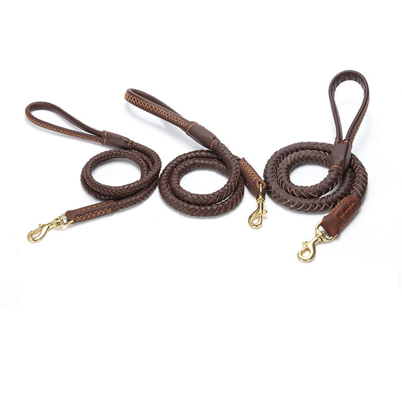 Correa y Collar de Cuero Genuino para Perros — Opciones Corta, Mediana, Larga, XL o Set Completo (Animal State)