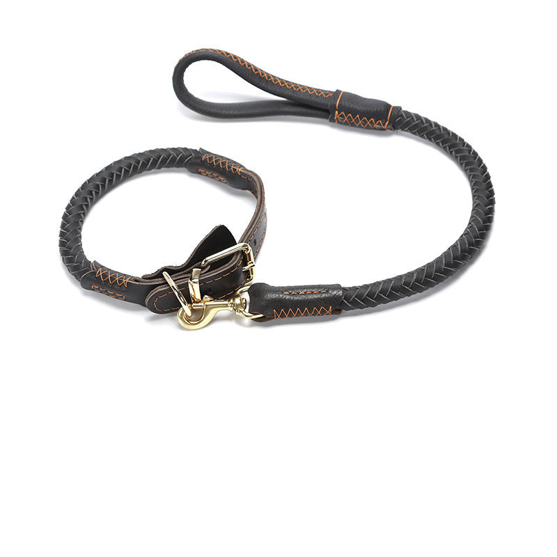 Correa y Collar de Cuero Genuino para Perros — Opciones Corta, Mediana, Larga, XL o Set Completo (Animal State)