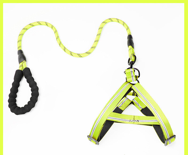 Kit de Arnés Ajustable y Correa Elástica Antichoque (Bungee) para Perros