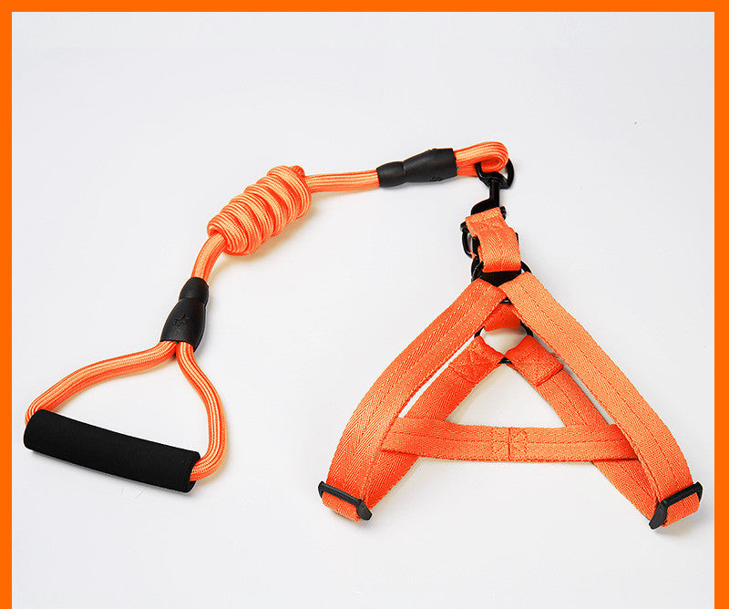 Kit de Arnés Ajustable y Correa Elástica Antichoque (Bungee) para Perros