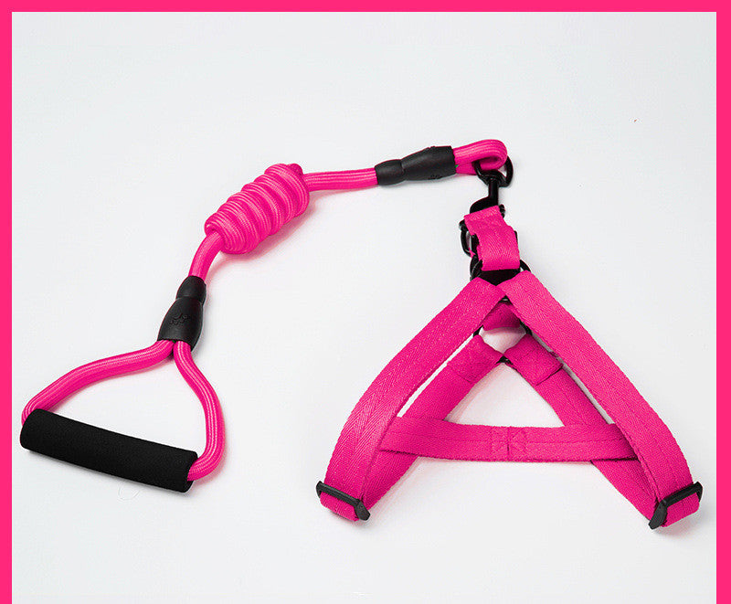 Kit de Arnés Ajustable y Correa Elástica Antichoque (Bungee) para Perros