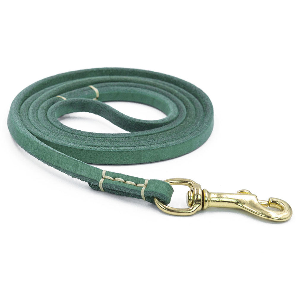 Correa de Cuero (Piel de Vaca) para Perro Pequeño y Mediano