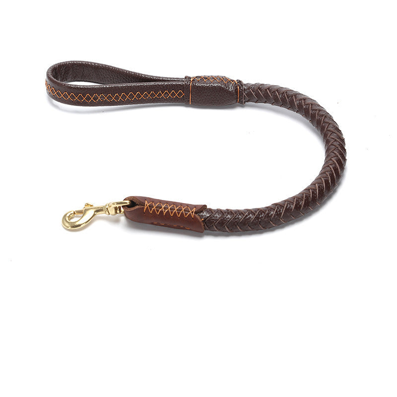Correa y Collar de Cuero Genuino para Perros — Opciones Corta, Mediana, Larga, XL o Set Completo (Animal State)